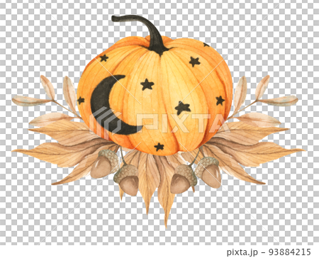 Watercolor floral pumpkins composition. Pumpkins for Halloween. Thanksgiving decor. Watercolor floral pumpkins composition. Pumpkins for Halloween. Thanksgiving decor. 93884215