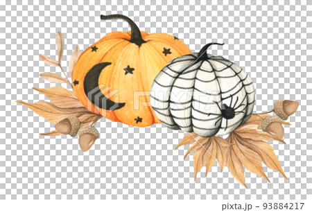 Watercolor floral pumpkins composition. Pumpkins for Halloween. Thanksgiving decor. Watercolor floral pumpkins composition. Pumpkins for Halloween. Thanksgiving decor. 93884217