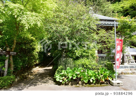 箱根町 箱根旧街道芦ノ湖畔付近の箱根旧街道道しるべと興福院と新緑 箱根町 箱根旧街道芦ノ湖畔付近の箱根旧街道道しるべと興福院と新緑 93884296