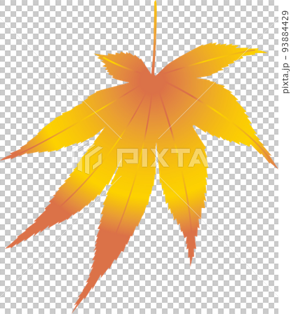 秋葉漸變 4 秋葉漸變 4 93884429