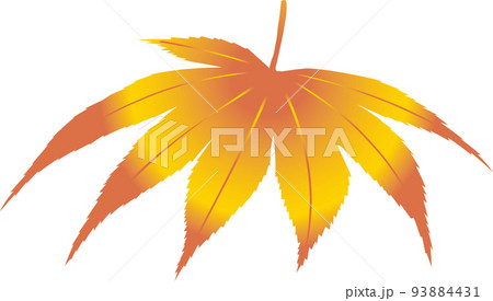 紅葉の葉グラデーション3 紅葉の葉グラデーション3 93884431