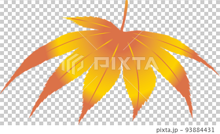 秋葉漸變 3 93884431