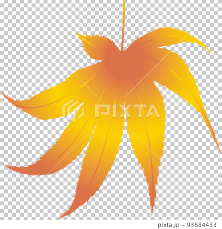 秋葉漸變 2 秋葉漸變 2 93884433