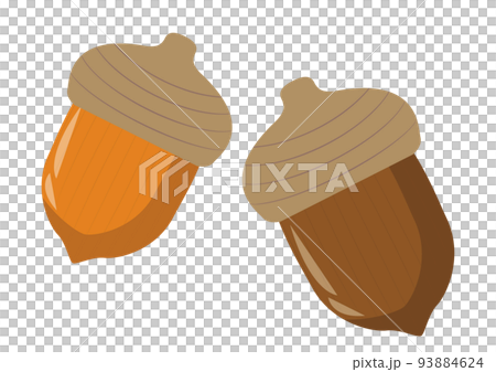 どんぐり どんぐり 93884624