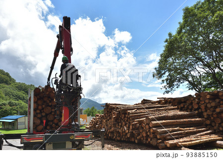 林業　トラックに木材の積み込み作業風景　 93885150
