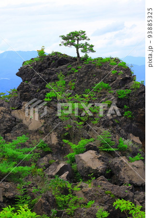 群馬県嬬恋村 鬼押出し園 93885325