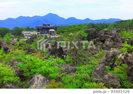 群馬県嬬恋村 鬼押出し園 93885326
