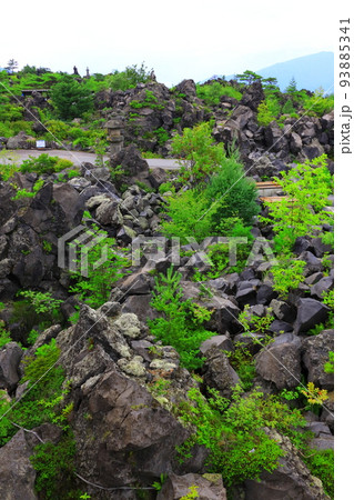 群馬県嬬恋村 鬼押出し園 93885341