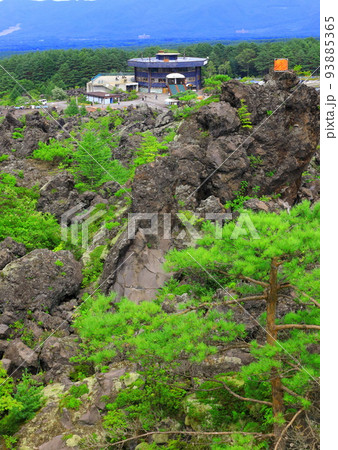 群馬県嬬恋村 鬼押出し園 93885365