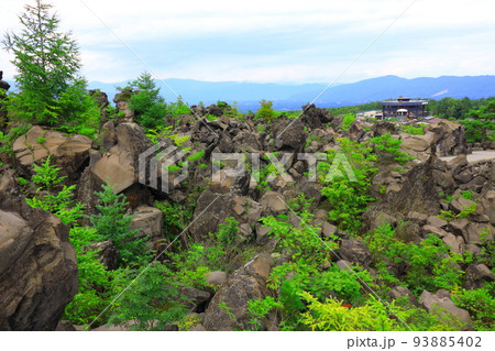 群馬県嬬恋村 鬼押出し園 群馬県嬬恋村 鬼押出し園 93885402