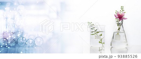 green and flower plant in flask and beaker on natural biotechnology science banner background 93885526