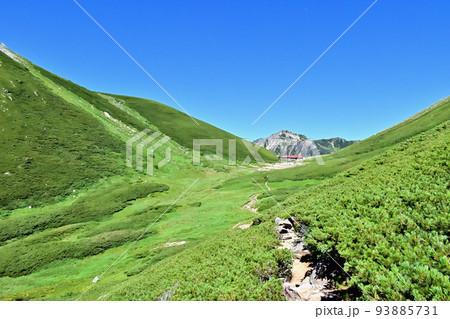 8月、北アルプス飛騨山脈の双六小屋と鷲羽岳 93885731