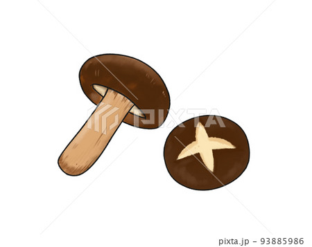 椎茸 キノコ 93885986