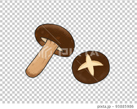 椎茸 キノコ 93885986