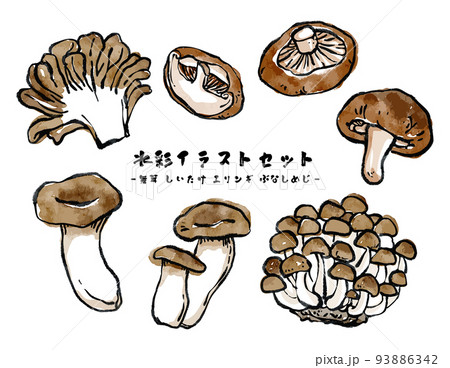 さまざまなきのこのベクター水彩イラストセット 絵手紙風 93886342
