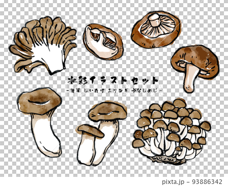 さまざまなきのこのベクター水彩イラストセット 絵手紙風 93886342