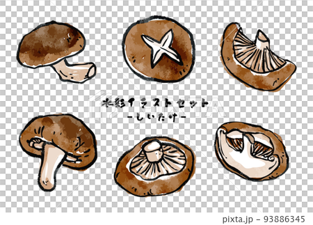 さまざまな椎茸のベクター水彩イラストセット 絵手紙風 93886345