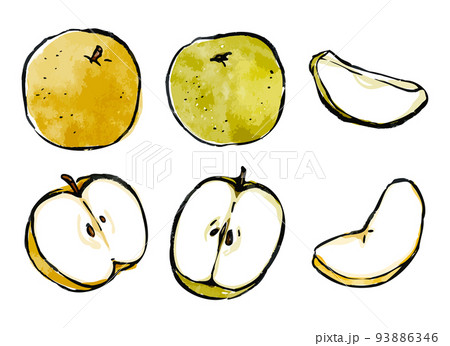 梨のベクター水彩イラストセット 絵手紙風のイラスト素材