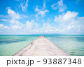 沖縄の青い空と青い海 93887348