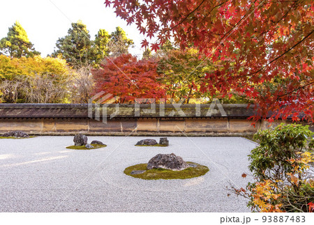 秋の京都龍安寺　紅葉と石庭　京都の紅葉名所　京都の観光スポット　枯山水庭園　 93887483
