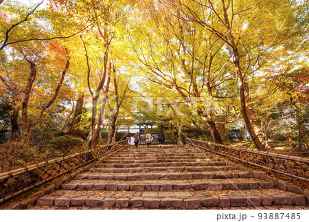 京都龍安寺　京都の紅葉名所　京都の観光名所　枯山水庭園 93887485