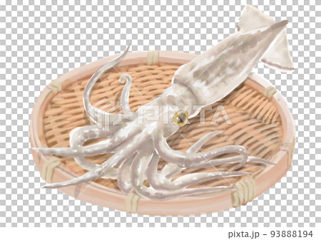 Zarumori 魷魚 01 93888194