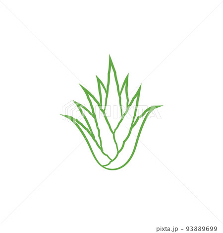 Aloe vera icon design - Stock Illustration [93889699] - PIXTA