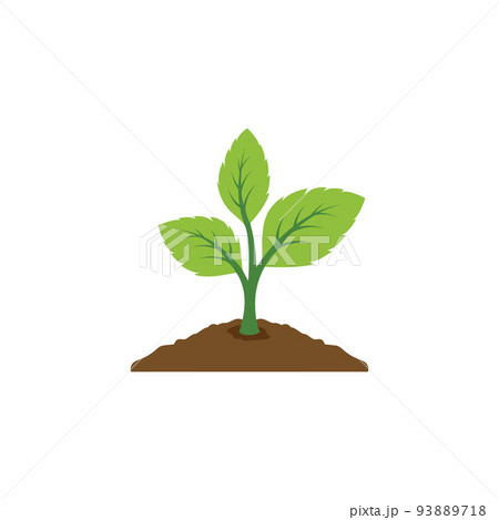 plant logo design. plant logo design. 93889718