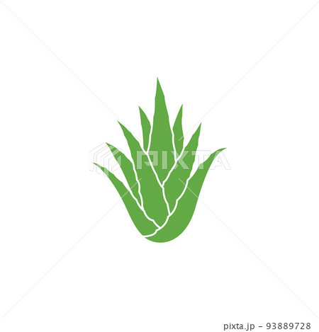 Aloe vera icon design 93889728