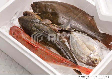 鮮魚ボックス 鮮魚ボックス 93889931