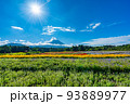 虹の花まつり　富士山と花畑　夏 93889977