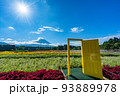 虹の花まつり　富士山と花畑　夏 93889978