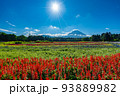 虹の花まつり　富士山と花畑　夏 93889982