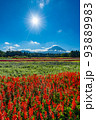 虹の花まつり　富士山と花畑　夏 93889983