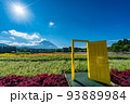 虹の花まつり　富士山と花畑　夏 93889984