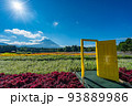 虹の花まつり　富士山と花畑　夏 93889986