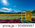 虹の花まつり　富士山と花畑　夏 93889987