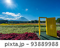 虹の花まつり　富士山と花畑　夏 93889988