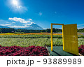 虹の花まつり　富士山と花畑　夏 93889989