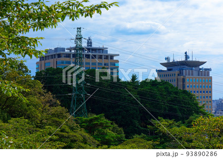 宇都宮タワー展望台より栃木県庁を望む 宇都宮タワー展望台より栃木県庁を望む 93890286