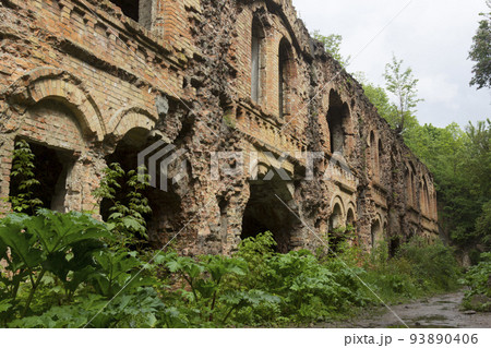 Abandoned Tarakaniv fort 93890406