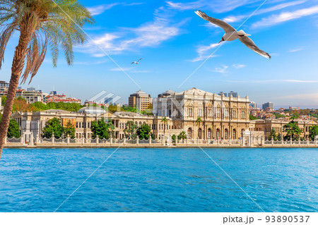 A Seagull flies by the Dolmabahce Palace, Bosphorus, Istanbul, Turkey 93890537