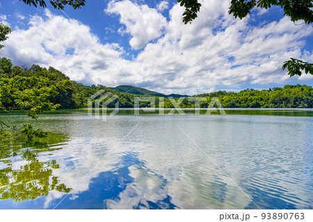 静岡県伊東市　一碧湖 93890763