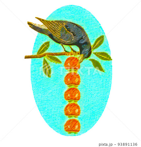 挿絵や絵手紙に使える秋のイラスト(鳥と柿)のイラスト素材 [93891136  