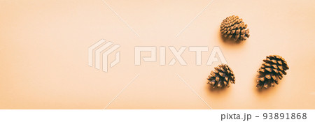 Christmas pine cones on colored paper border composition. Christmas, New Year, winter concept. Flat lay, top view, copy space Christmas pine cones on colored paper border composition. Christmas, New Year, winter concept. Flat lay, top view, copy space 93891868