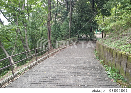 三保念珠坂公園　横浜市緑区三保町　広場や斜面　坂道　樹林  プレイパーク  散策 　令和4年8月 　 93892861