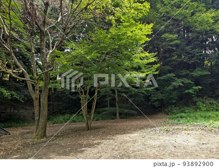 三保念珠坂公園　横浜市緑区三保町　広場や斜面　坂道　樹林  プレイパーク  散策 　令和4年8月 　 93892900