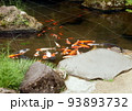 本格的な日本庭園、歩いて見てまわる回遊式、海外からのお客様のために、水車小屋や小さな滝もあります 93893732