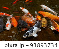本格的な日本庭園、歩いて見てまわる回遊式、海外からのお客様のために、水車小屋や小さな滝もあります 93893734