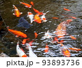 本格的な日本庭園、歩いて見てまわる回遊式、海外からのお客様のために、水車小屋や小さな滝もあります 93893736